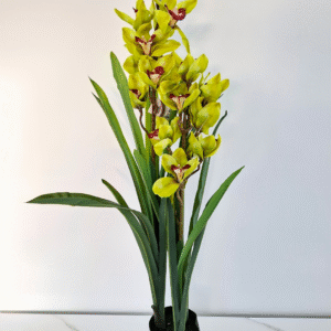 storczyk sztuczny Cymbidium 105